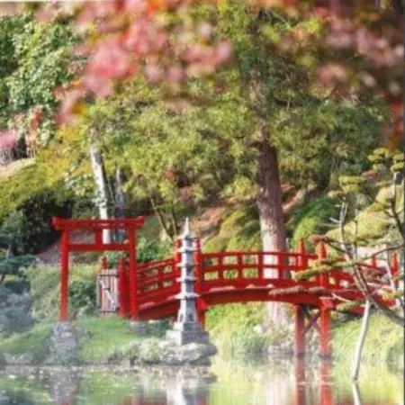 Notre-dame 3 Coeur De * Cholet